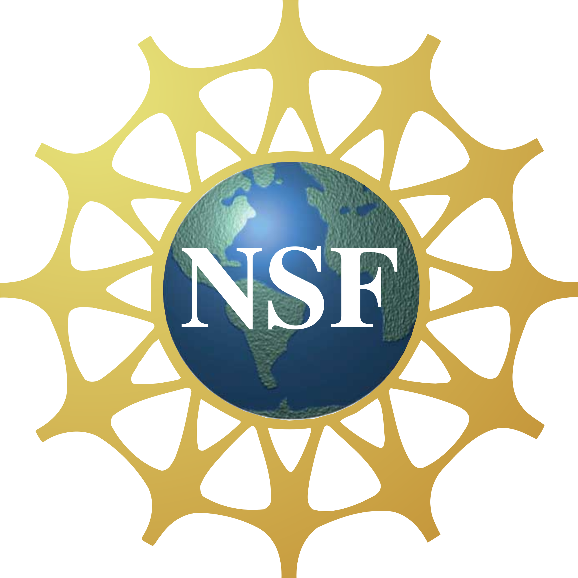 Our group received our first federal grant from NSF